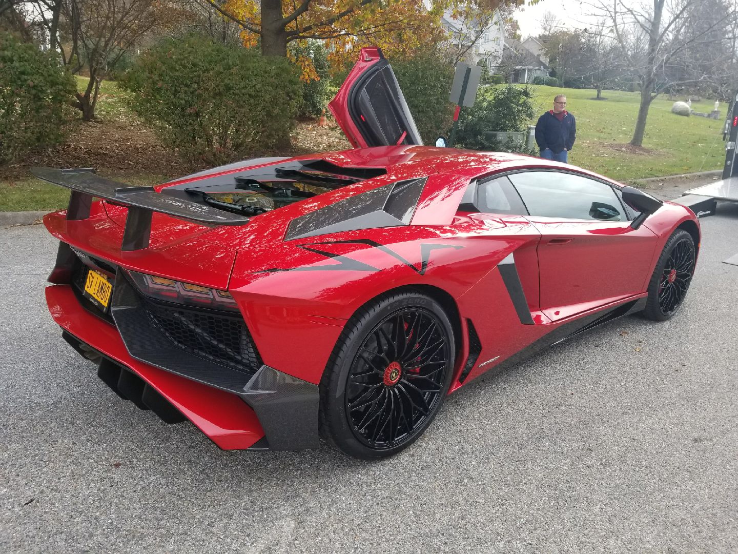 plastic-plants - New York to Zurich